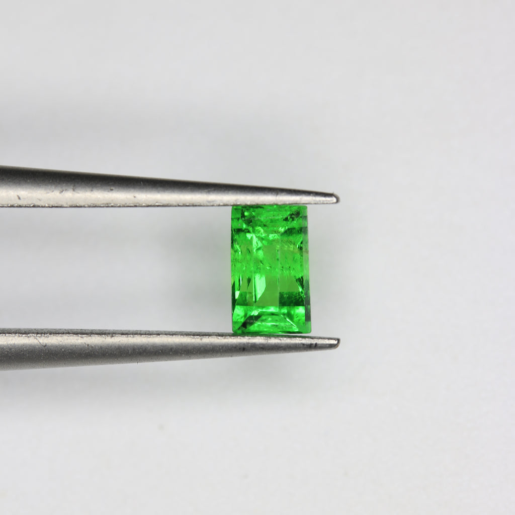 0.58ct Garnet Tsavorite