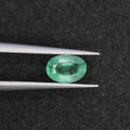 0.65ct Emerald Zambian