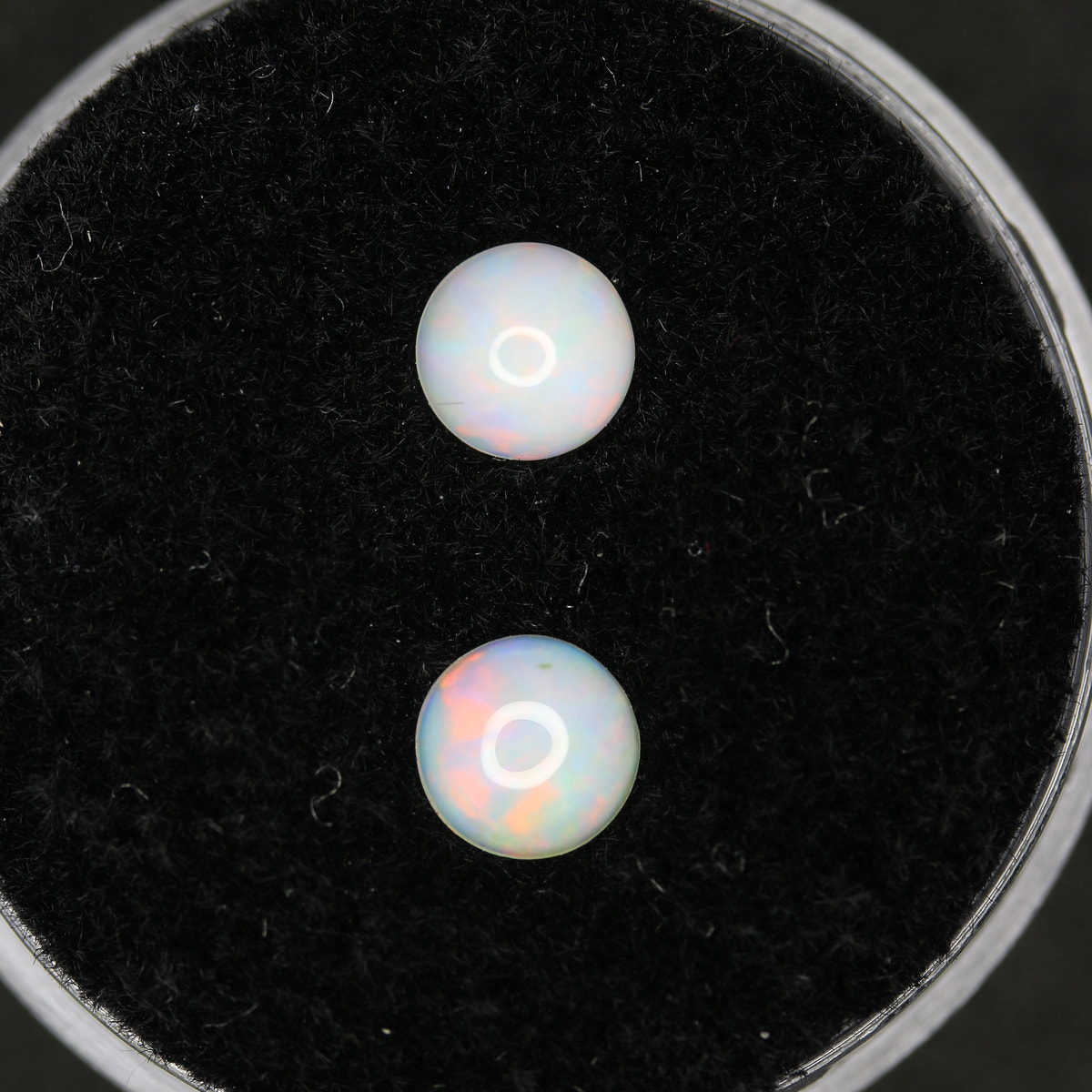 0.67ct Opal Welo Pair
