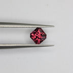 0.75ct Garnet