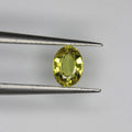 0.76ct Garnet Mali