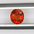 0.77ct Garnet Spessarite