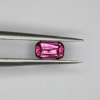 0.78ct Garnet