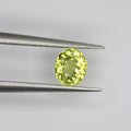 0.79ct Garnet Mali
