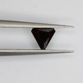 0.82ct Garnet Namibian