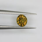 0.87ct Garnet Mali
