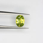 0.88ct Sphene