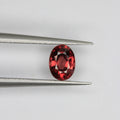 0.89ct Garnet