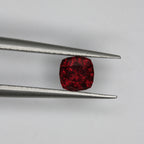 0.8ct Garnet