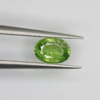 0.93ct Garnet Demantoid