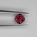 0.95ct Garnet