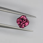 0.95ct Garnet