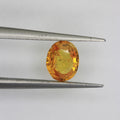 0.96ct Garnet Spessarite