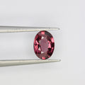 0.9ct Garnet