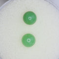 1.1ct Chrysoprase