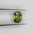 1.1ct Garnet Demantoid