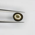1.3ct Sapphire Star