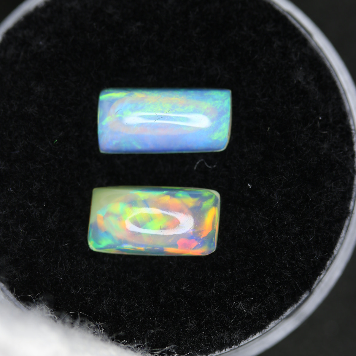 1.48ct Opal Welo Pair