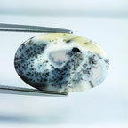 10.7ct Dendrite Opal - alternate view 3