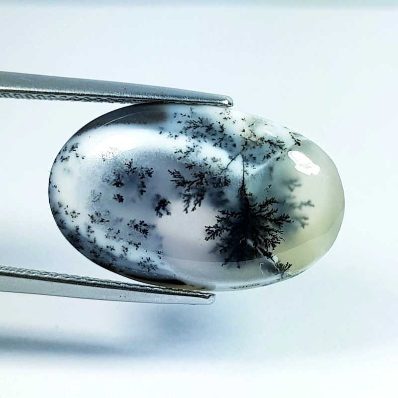 10.7ct Dendrite Opal