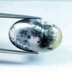 10.7ct Dendrite Opal