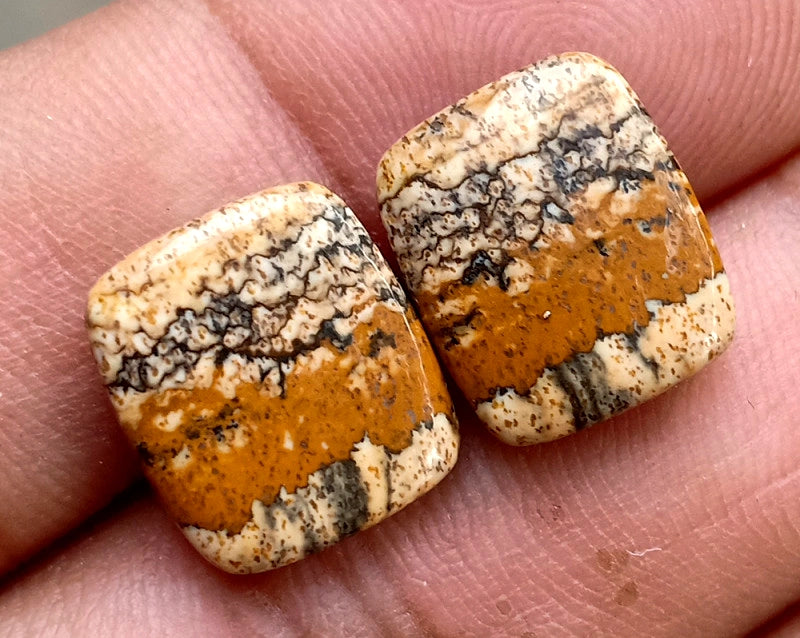 10ct Picture Jasper Pair - alternate view 3