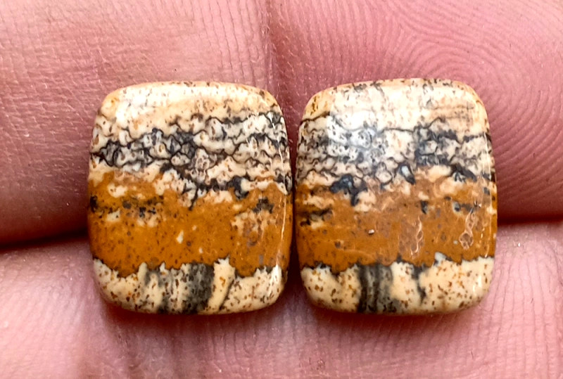 10ct Picture Jasper Pair