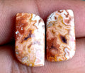 13.3ct Rosetta Jasper Pair