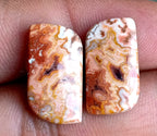 13.3ct Rosetta Jasper Pair