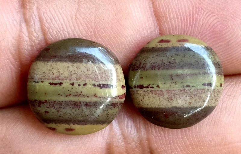 14.6ct Owyhee Picture Jasper Pair