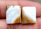 15.75ct Brown Palm Jasper Pair - alternate view 2