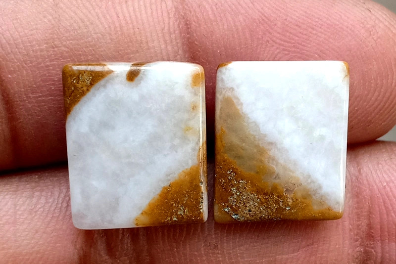 15.75ct Brown Palm Jasper Pair