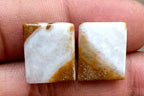 15.75ct Brown Palm Jasper Pair