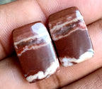 16.9ct Coconut Jasper Pair - alternate view 2