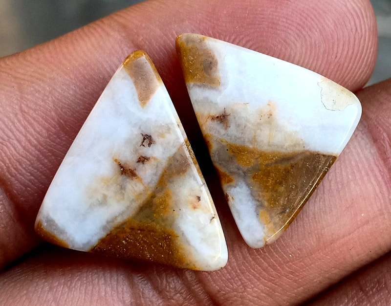 17.2ct Brown Palm Jasper Pair - alternate view 2