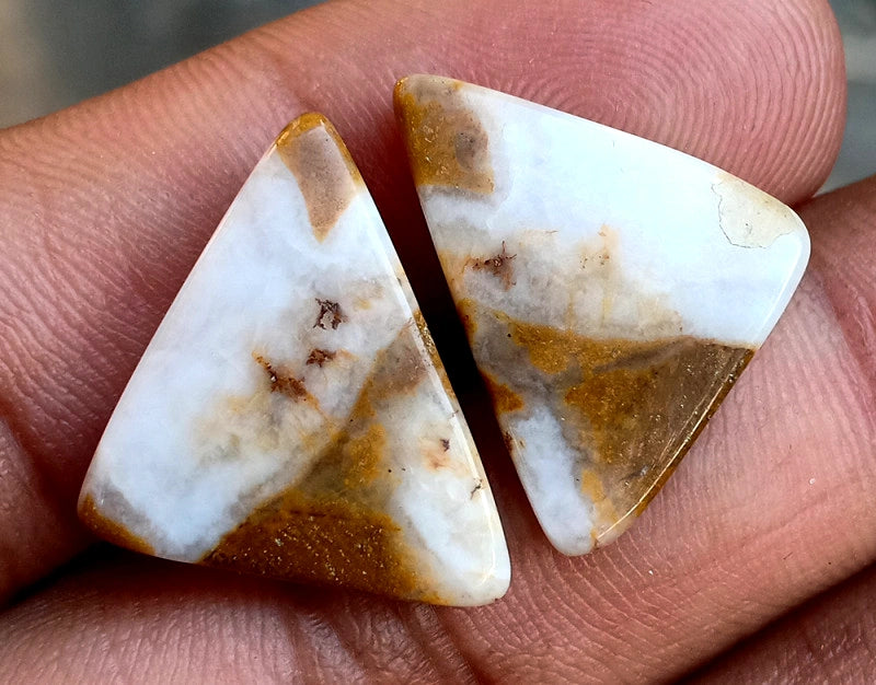 17.2ct Brown Palm Jasper Pair - alternate view 2