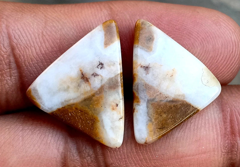 17.2ct Brown Palm Jasper Pair