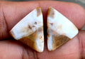 17.2ct Brown Palm Jasper Pair