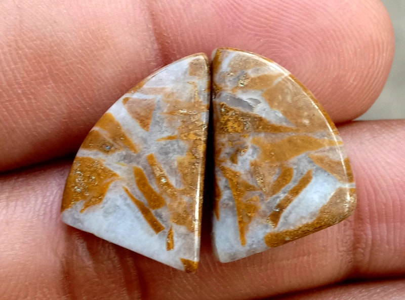 17.2ct Brown Palm Jasper Pair - alternate view 2