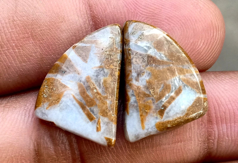 17.2ct Brown Palm Jasper Pair