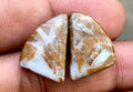 17.2ct Brown Palm Jasper Pair