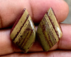 17.45ct Owyhee Picture Jasper Pair - alternate view 2