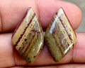 17.45ct Owyhee Picture Jasper Pair