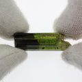 17.75ct Tourmaline Facet Rough
