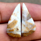 17.7ct Brown Palm Jasper Pair