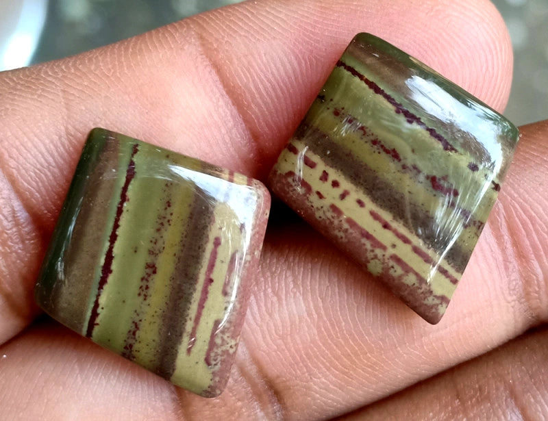 18.55ct Owyhee Picture Jasper Pair - alternate view 2