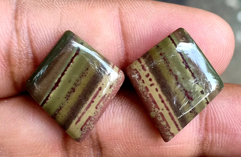 18.55ct Owyhee Picture Jasper Pair
