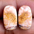 19.2ct Rosetta Jasper Pair
