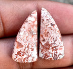 19.7ct Rosetta Jasper Pair - alternate view 2