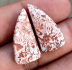 19.7ct Rosetta Jasper Pair - alternate view 3
